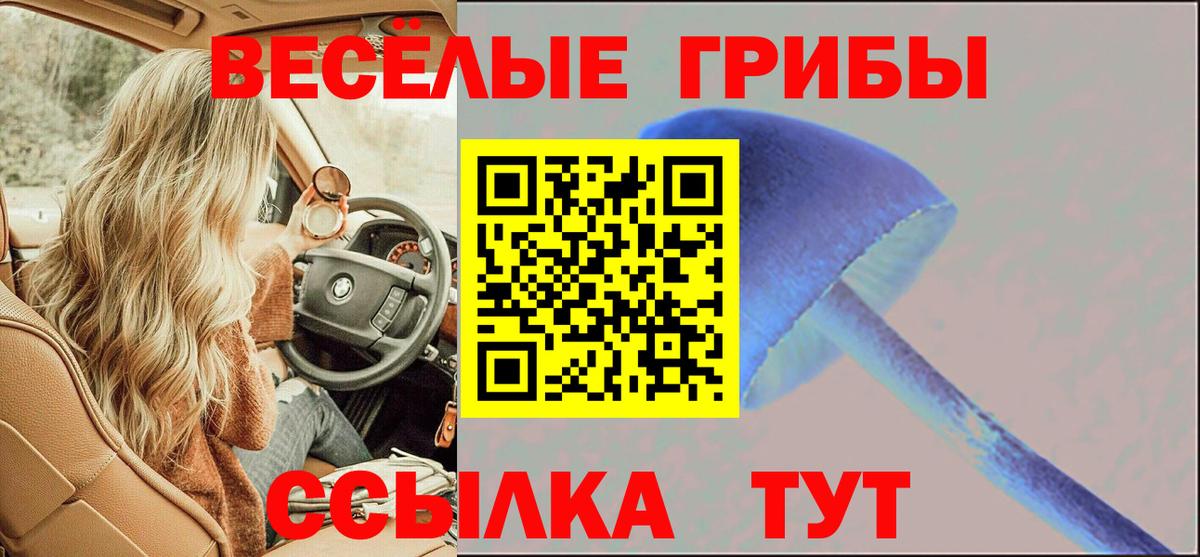 Галлюциногенные грибы прущие грибы Ханты-Мансийск